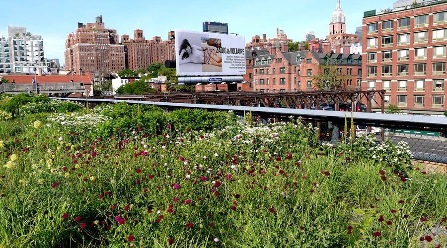 high line new york buildings