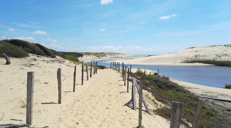 reserve naturelle courant d'huchet