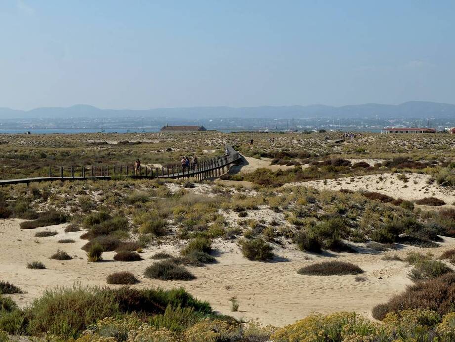 Visite de l'île de culatra en Algarve Détours du monde