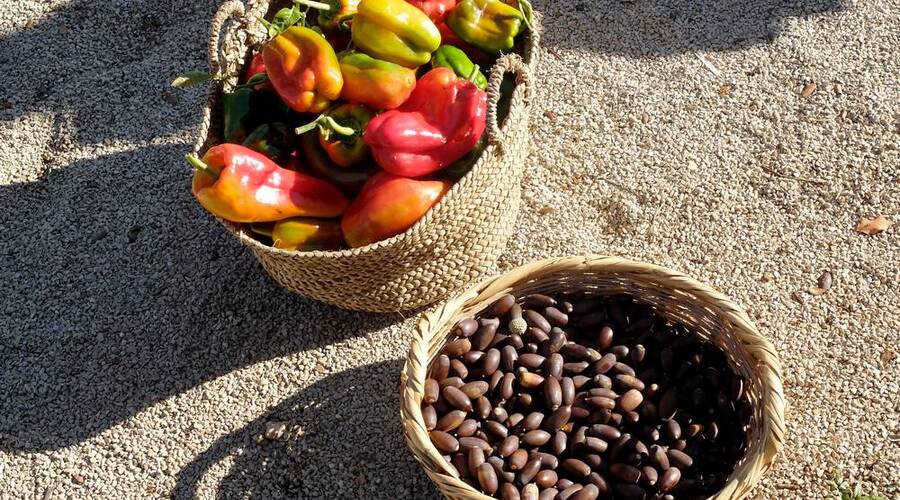 comida esquecida algarve