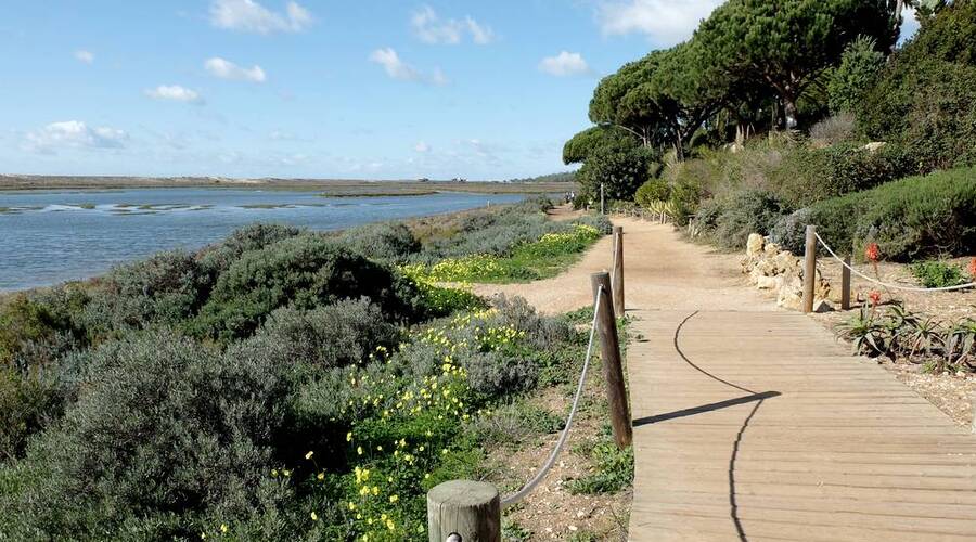 sentier ria formosa